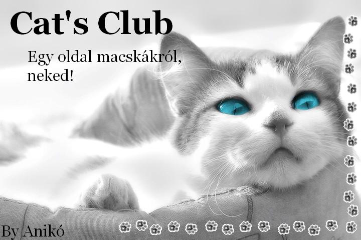 Cat's Club-Minden a macskrl!